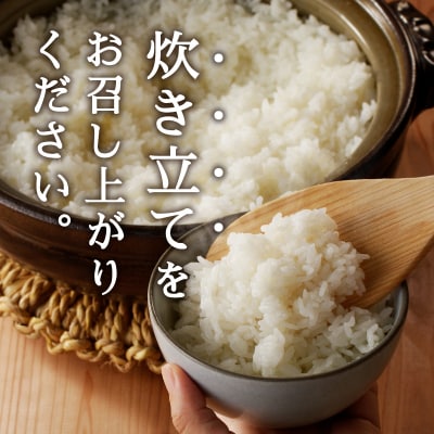 令和7年産 特別栽培 農薬5割減 ミルキークイーン 白米5kg(a18-090)