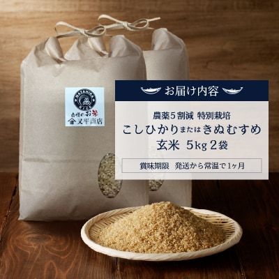 令和6年産　特別栽培コシヒカリ または きぬむすめ 玄米 10kg(5kg×2袋)(a44-008)