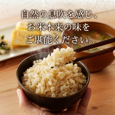 令和7年産 農薬7割減 特別栽培 にじのきらめき玄米10kg(5kg×2袋)(a30-319)