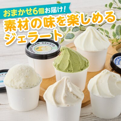 こだわり素材のジェラート110mlおまかせ6個セット(a10-1130)