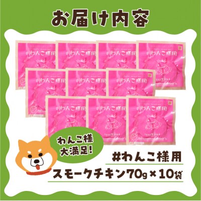 わんこ様用10点セット(a20-433)