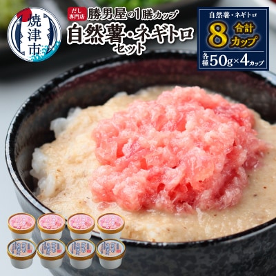 だし専門店「勝男屋」の一膳とろトロ 自然薯・ネギトロセット(a12-224)