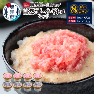 だし専門店「勝男屋」の一膳とろトロ 自然薯・ネギトロセット(a12-224)