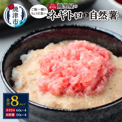 だし専門店「勝男屋」の一膳とろトロ 自然薯・ネギトロセット(a12-224)