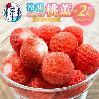 冷凍いちご 2キロ(500g×4)小さなかわいい桃薫(a10-1152)