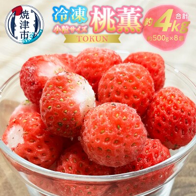 冷凍いちご4キロ(500g×8)小さなかわいい桃薫(a20-434)　