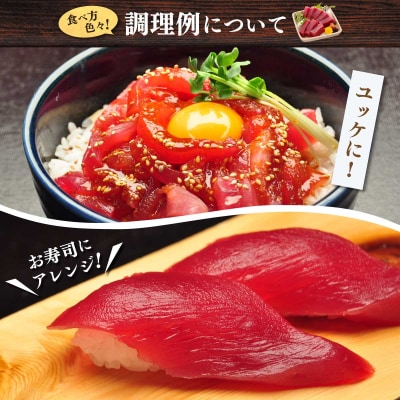 訳あり まぐろ専門店 天然南マグロ 赤身 1kg(a10-1155)