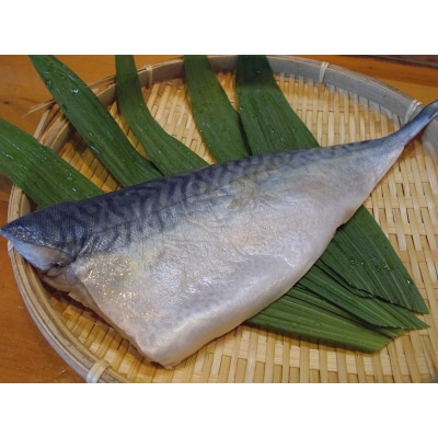 しめ鯖3枚セット 焼津小川港水揚げ 肉厚 珍味 さばの子煮付け(a10-1121)