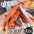  訳あり 切身 不揃い 塩銀鮭 約1.6kg(a13-093)
