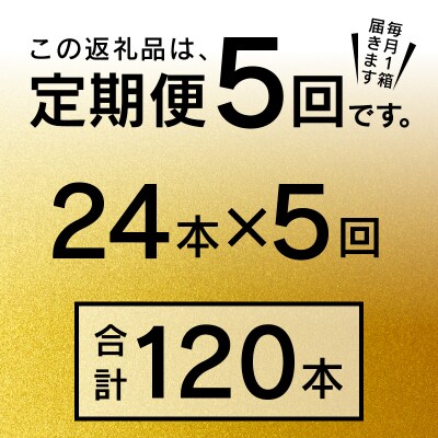 【定期便5回】エビスビール500ml×1箱(24缶)(T0085-2205)