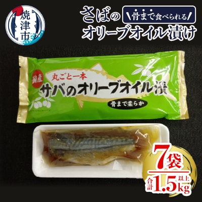 骨まで食べる焼津産さばのオリーブオイル漬け1本物(a10-616)