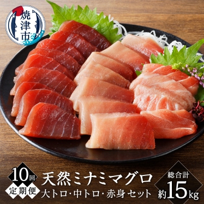 【定期便10回】キボシ水産天然南鮪大トロ中トロ赤身食べ比べ 約1.5kg×10回(b500-015)