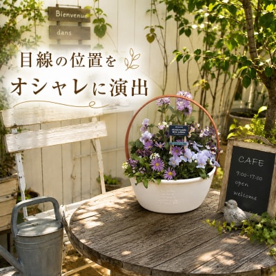 季節のおまかせ寄せ植えバスケット(a10-1174)