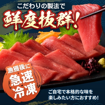 本鮪 赤身 サク 約1kg(a15-686)