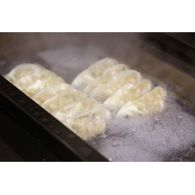 餃子研究所　肉餃子×6パック(a11-148)