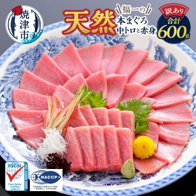 訳あり　天然本まぐろ中トロと赤身セット(a15-662)