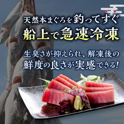 訳あり　天然本まぐろ中トロと赤身セット(a15-662)