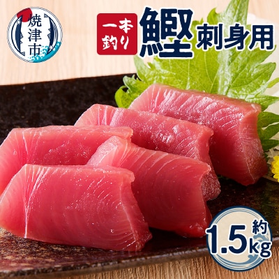 一本釣り刺身用かつお(a10-864)