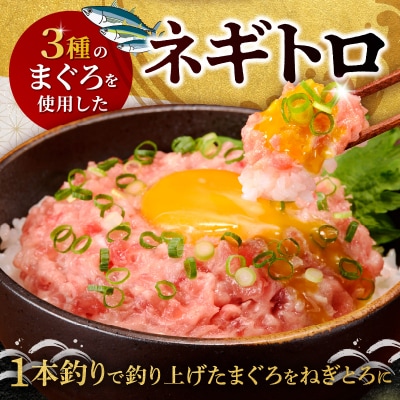 ネギトロ100g×16パック 合計1.6kg(a10-1289)
