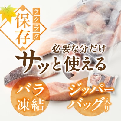 訳あり!天然 白鮭 甘口 切身 約1.5kg バラ凍結 大袋ジッパー(a10-1177)