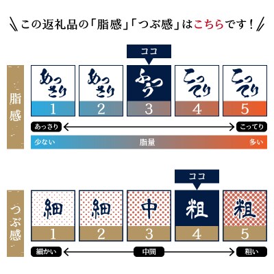 冷凍 大目鉢 鮪たたき 300g×4パック(a11-196)