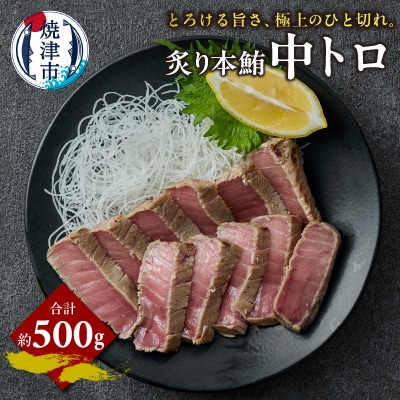 炙り 本鮪 中トロ 約500g(a15-678)