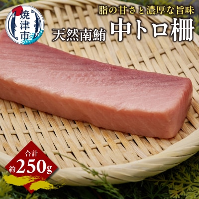 天然 南まぐろ 中トロ柵 約250g(a14-111)