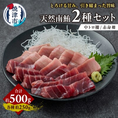 天然 南まぐろ 中トロ 赤身セット 約500g(a21-085)