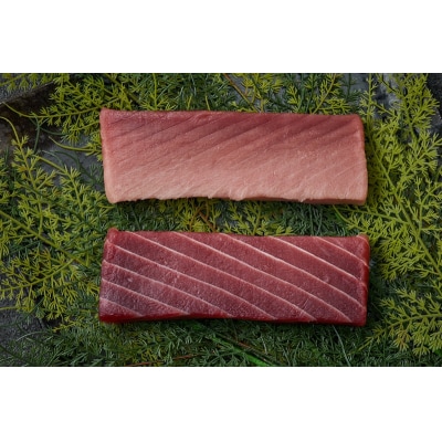 天然 南まぐろ 中トロ 赤身セット 約500g(a21-085)