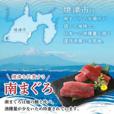 焼津港水揚げ ・南まぐろ(a10-430)
