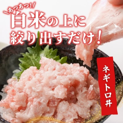 天然 ビンチョウ 鮪 ねぎとろ (約100g×9袋)(a08-004)