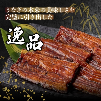 丸忠うなぎ食事券3000円　事前予約不要(a10-1243)