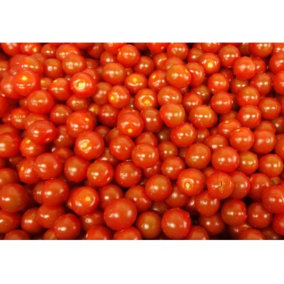 トマトおでん(260g)　3パック(a10-1230)