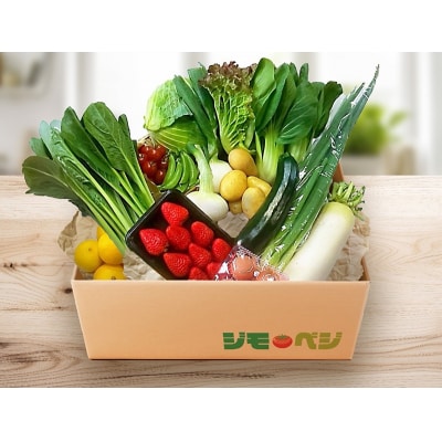 ジモベジ野菜セット(a10-1232)