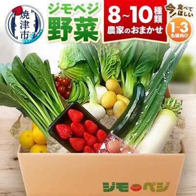 ジモベジ野菜セット(a10-1232)