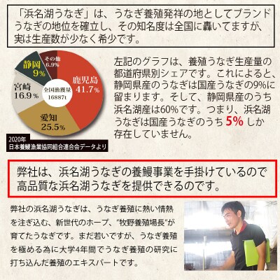 食品添加物不使用タレ使用　浜名湖うなぎ蒲焼5尾(a30-308)
