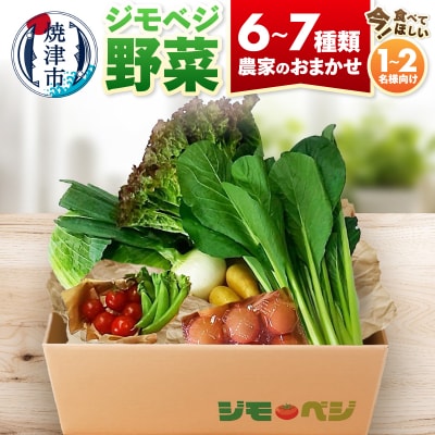 ジモベジ 野菜 ハーフセット(a08-007d)