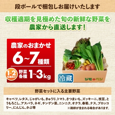 ジモベジ 野菜 ハーフセット(a08-007d)