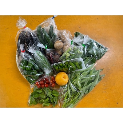 【定期便 全2回】ジモベジ 野菜 セット(a20-447)