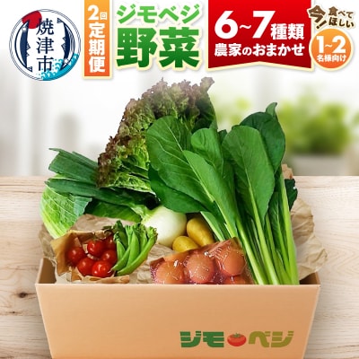 【定期便 全2回】ジモベジ 野菜 ハーフセット(a15-677)