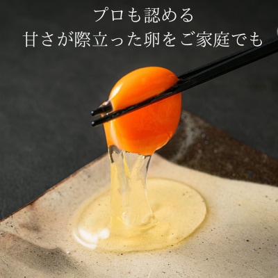 富士の名月　卵かけごはん セット(a11-164)