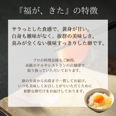 福が、きた　卵かけごはん セット(a11-163)