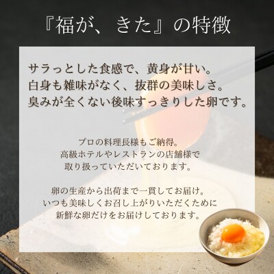 福が、きた　卵かけごはん セット(a11-163)