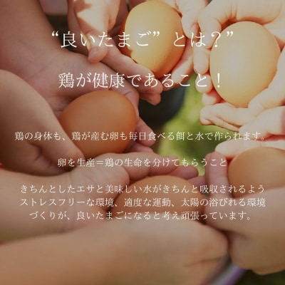 福が、きた　卵かけごはん セット(a11-163)