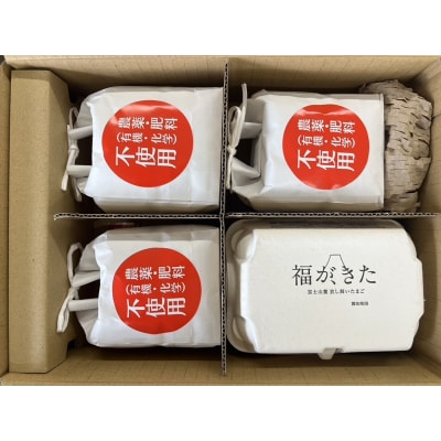 福が、きた　卵かけごはん セット(a11-163)