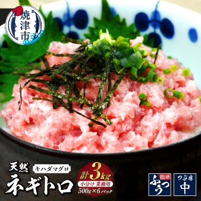 焼津 海の極 海伸 マグロ ネギトロ 小分け 業務用 3kg 500g×6(a22-059)