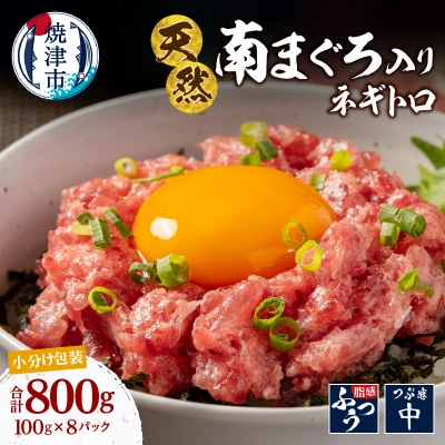 南鮪入り 焼津 海の極 ネギトロ 小分け 計800g 100g×8パック(a10-1274)