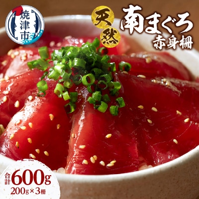 天然 ミナミマグロ 赤身 柵 刺身 焼津 海の極 計600g 200g×3(a16-200)