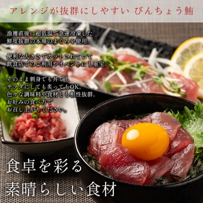 天然 ビンチョウマグロ ブロック 業務用 焼津 海の極 5kg(a24-063)