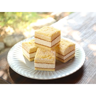 洋菓子ケーキセット 10個入(3種アソート)(a10-1265)